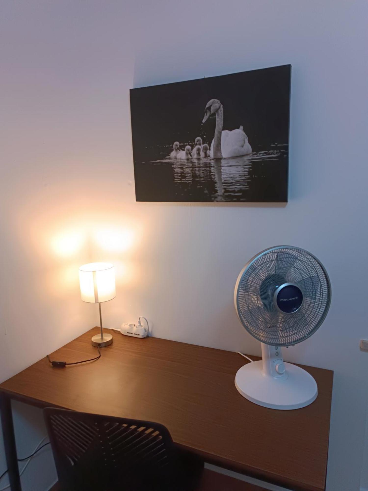 Apartament Casa Fiume Mantua Zewnętrze zdjęcie